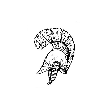 Helmet with Comb (Carabinier style)