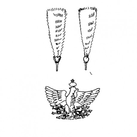 Eagle and Plumes for Engineer Helmet