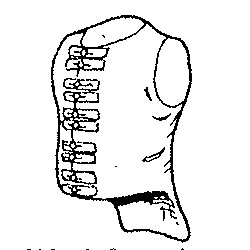 British Infantry body. Paired buttons