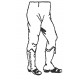 Legs Short gaiters light infantry style at ease