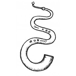 serpent