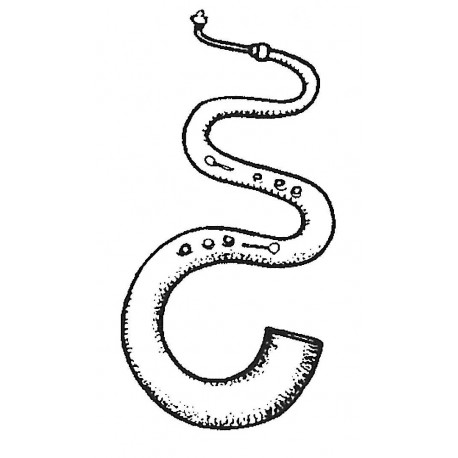 serpent