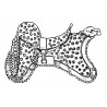 Pantherskin saddle