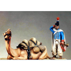 Kneeling Dromedary with standing