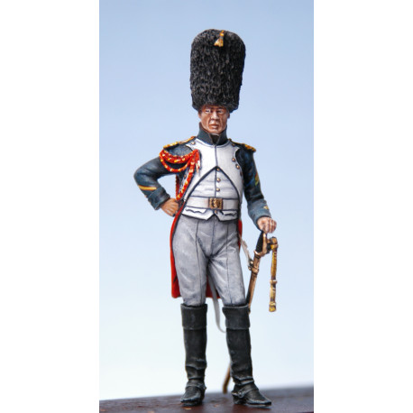 MDL/Chef Grenadier de la garde Wagram 1809