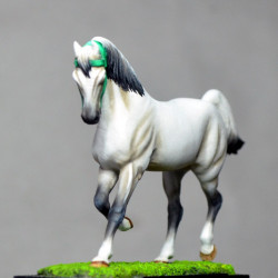 cheval arabe N°2