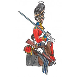 Scots Greys ,soldat 1812-15, 2nd Dragoons