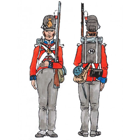 English Line Infantry 1812-1815 Soldier