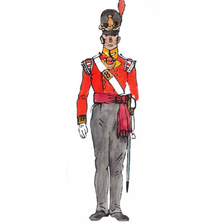 Infanterie De Ligne  Anglaise 1812-1815 Officier