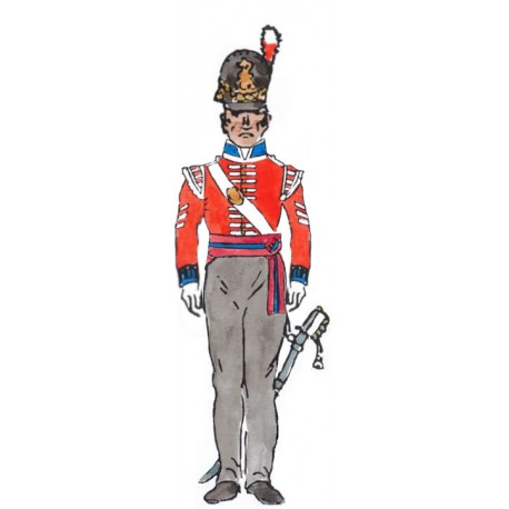 English Line Infantry 1812-1815 Under officer