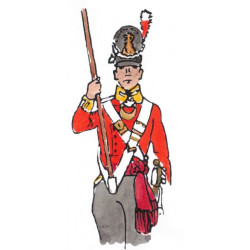 English Line Infantry 1812-1815 flag bearer