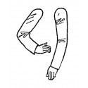 Pairs of arms